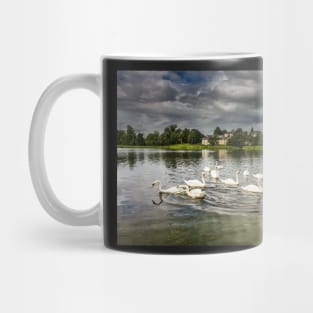 Mute Swans on Carlingwark Loch Photograph Castle Douglas Dumfries and Galloway Mug